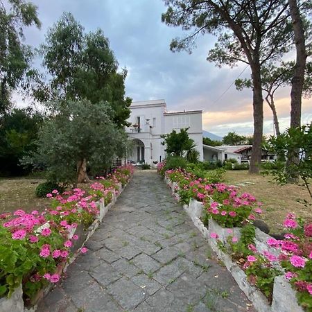 B&B Casa Maria Vittoria ตอร์เรเดลเกรโค ภายนอก รูปภาพ