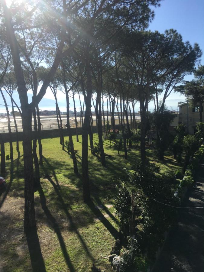 B&B Casa Maria Vittoria ตอร์เรเดลเกรโค ภายนอก รูปภาพ