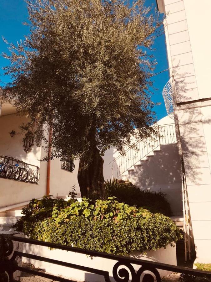 B&B Casa Maria Vittoria ตอร์เรเดลเกรโค ภายนอก รูปภาพ