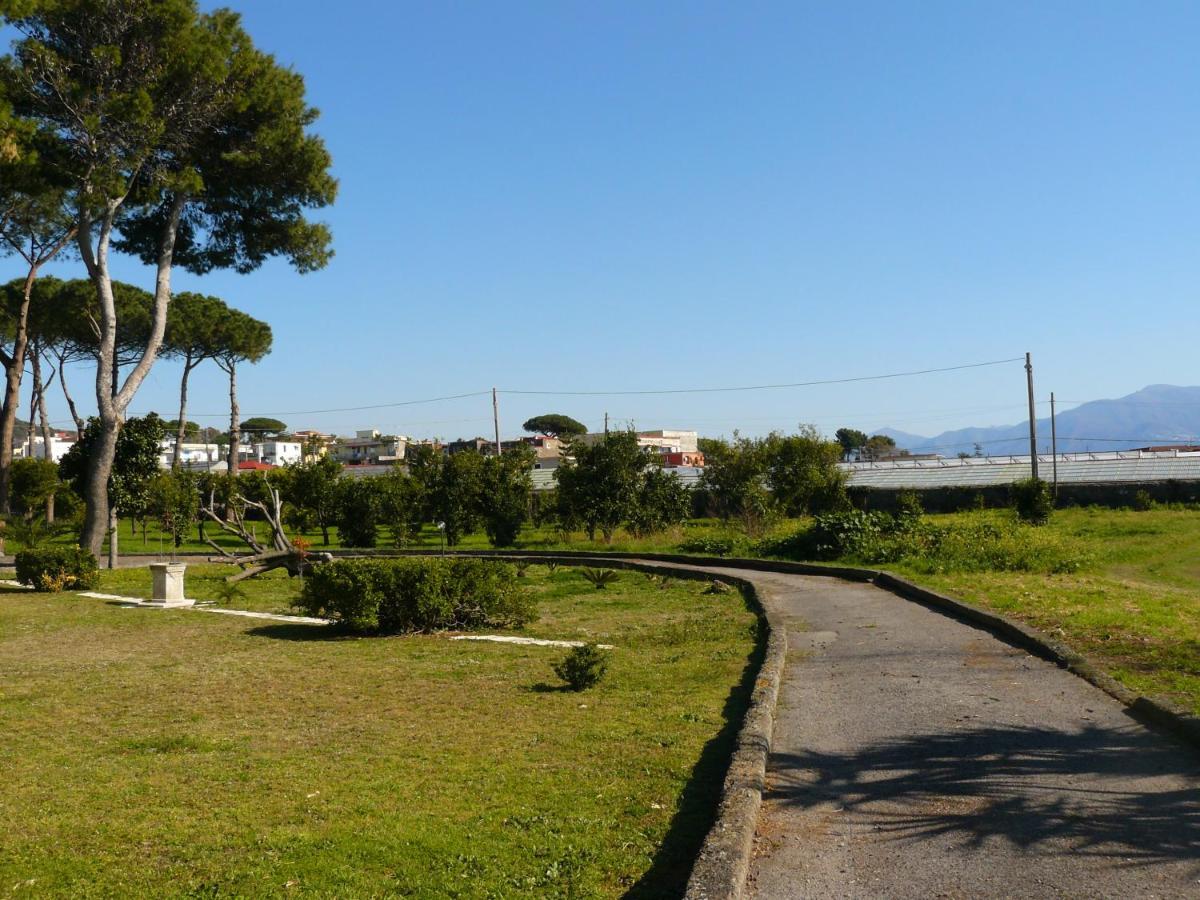 B&B Casa Maria Vittoria ตอร์เรเดลเกรโค ภายนอก รูปภาพ