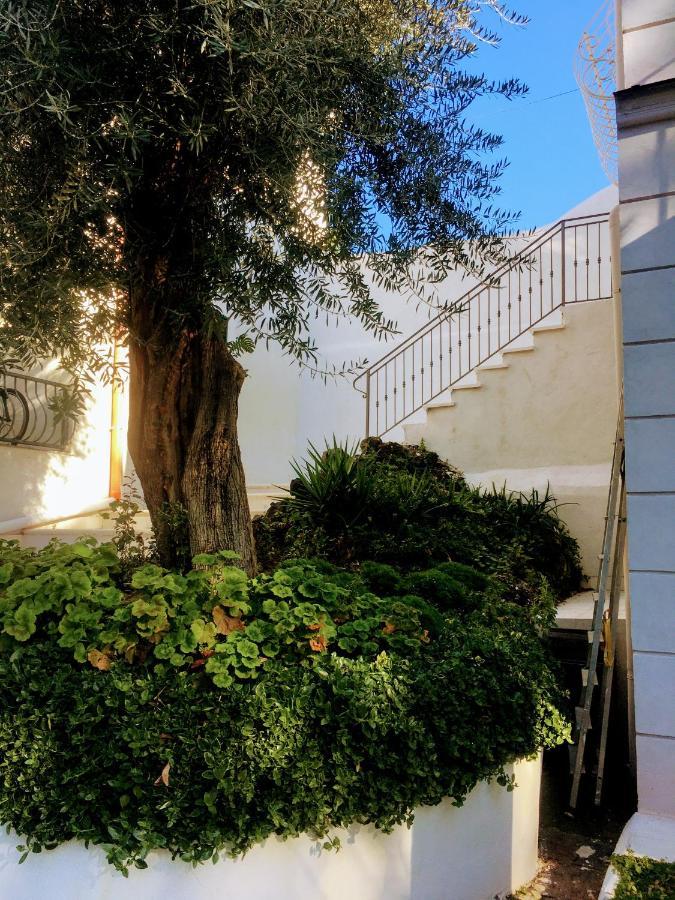 B&B Casa Maria Vittoria ตอร์เรเดลเกรโค ภายนอก รูปภาพ