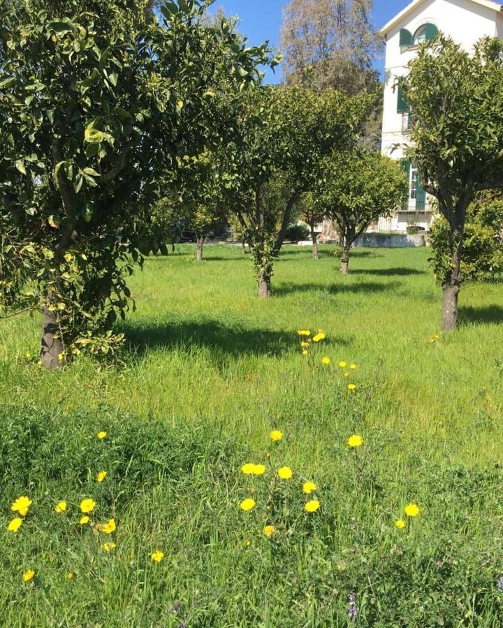 B&B Casa Maria Vittoria ตอร์เรเดลเกรโค ภายนอก รูปภาพ